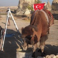 Turquie nov09 411